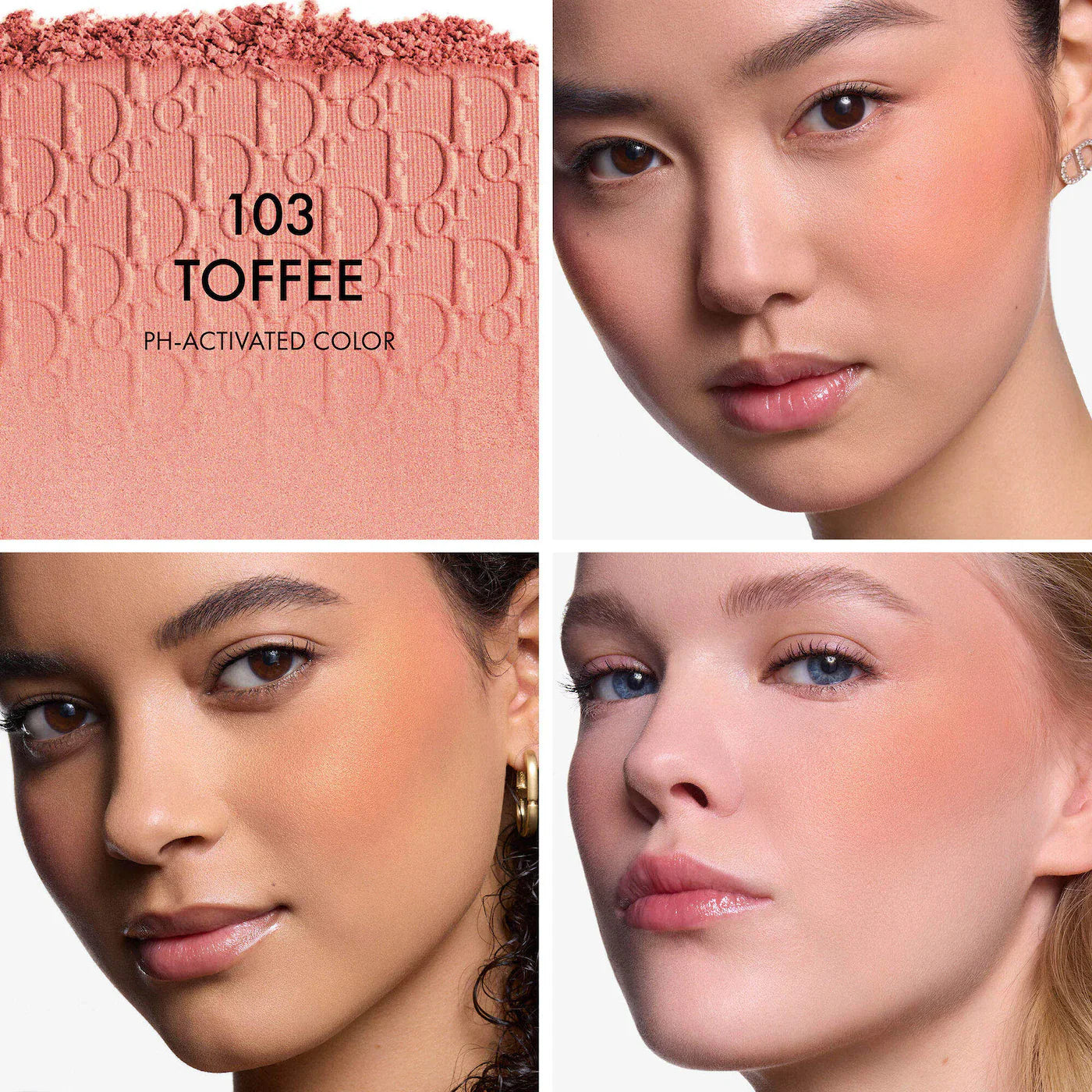 DIOR Backstage Blushes