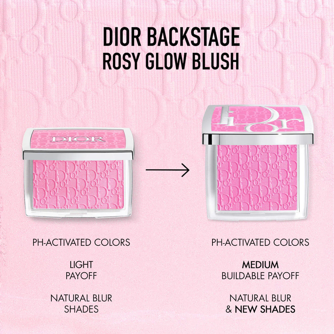 DIOR Backstage Blushes